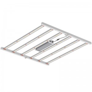 800W 4*4ft Daingneán Soilsiú Gairneoireachta Speictrim Iomlán do Cheaptha Teasa faoi Dhíonnó Fás Tráchtála faoi stiúir Solas Fás